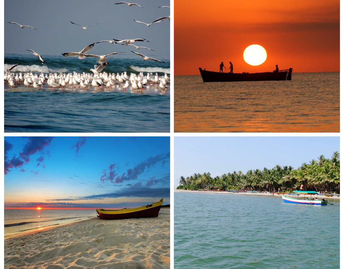 tarkarli-beach-malvan